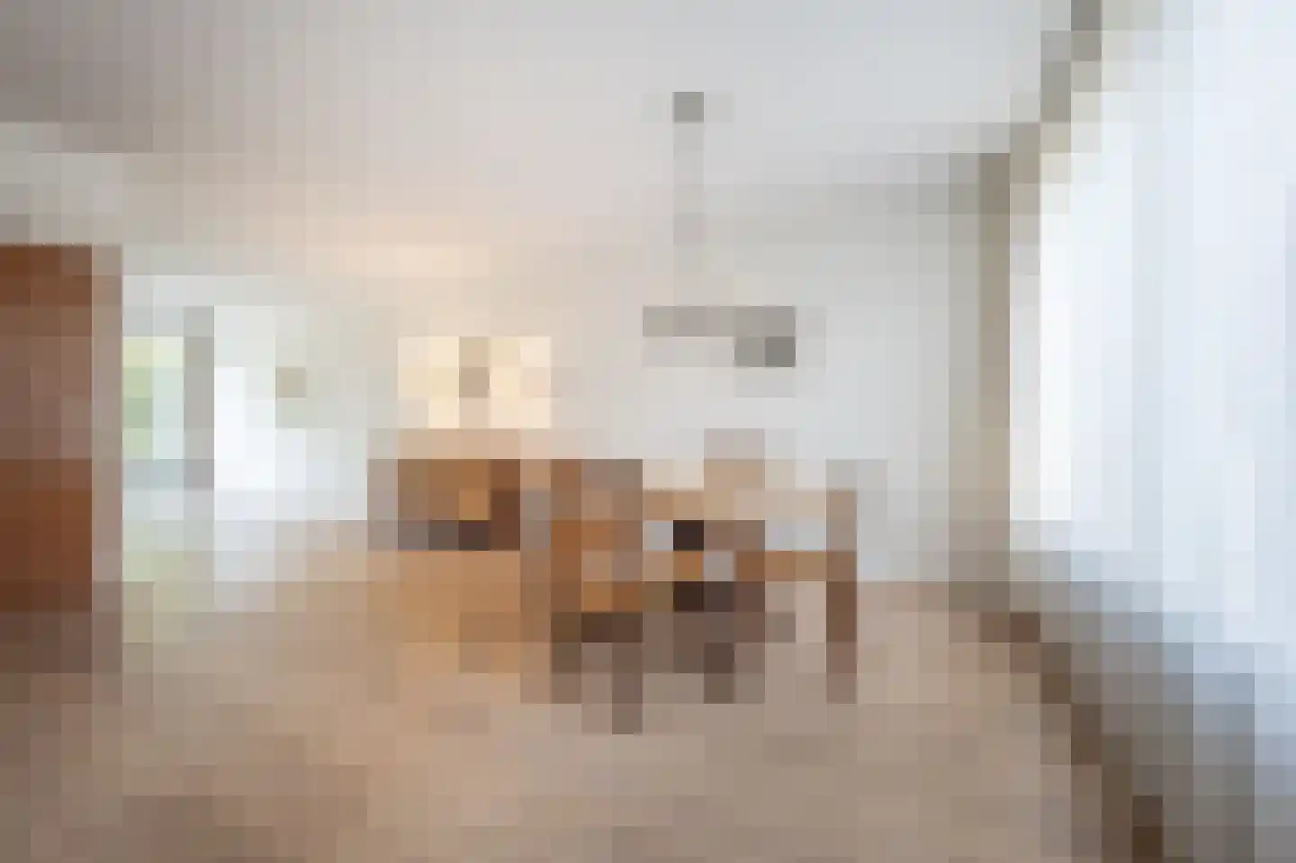 Zeggegors 16 Mijnsheerenland thumbnail 12