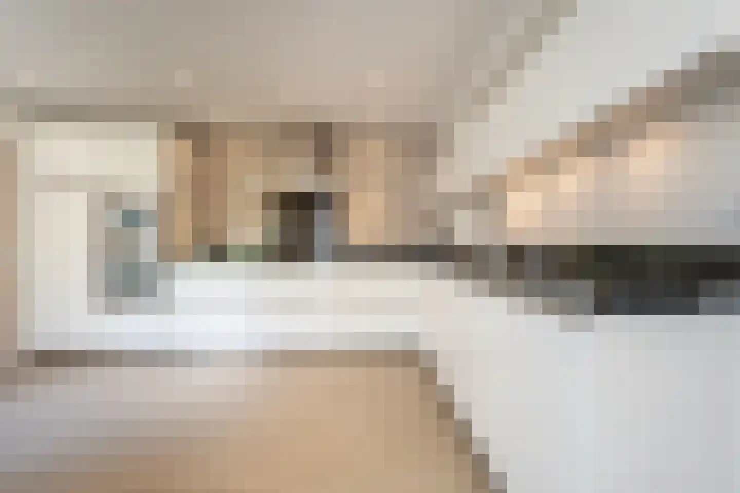 Zeggegors 16 Mijnsheerenland thumbnail 13