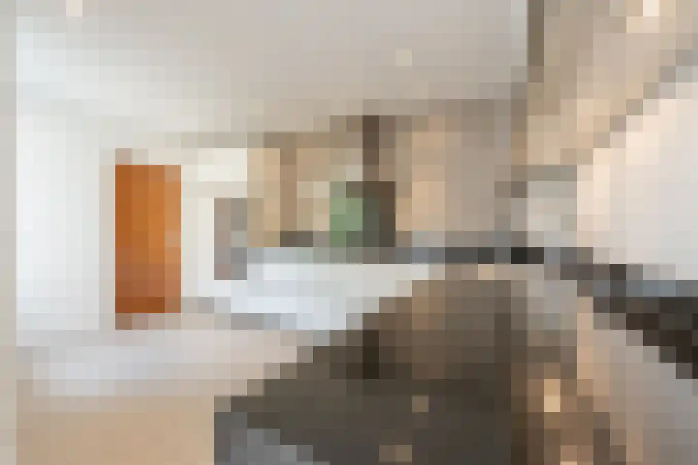 Zeggegors 16 Mijnsheerenland thumbnail 14