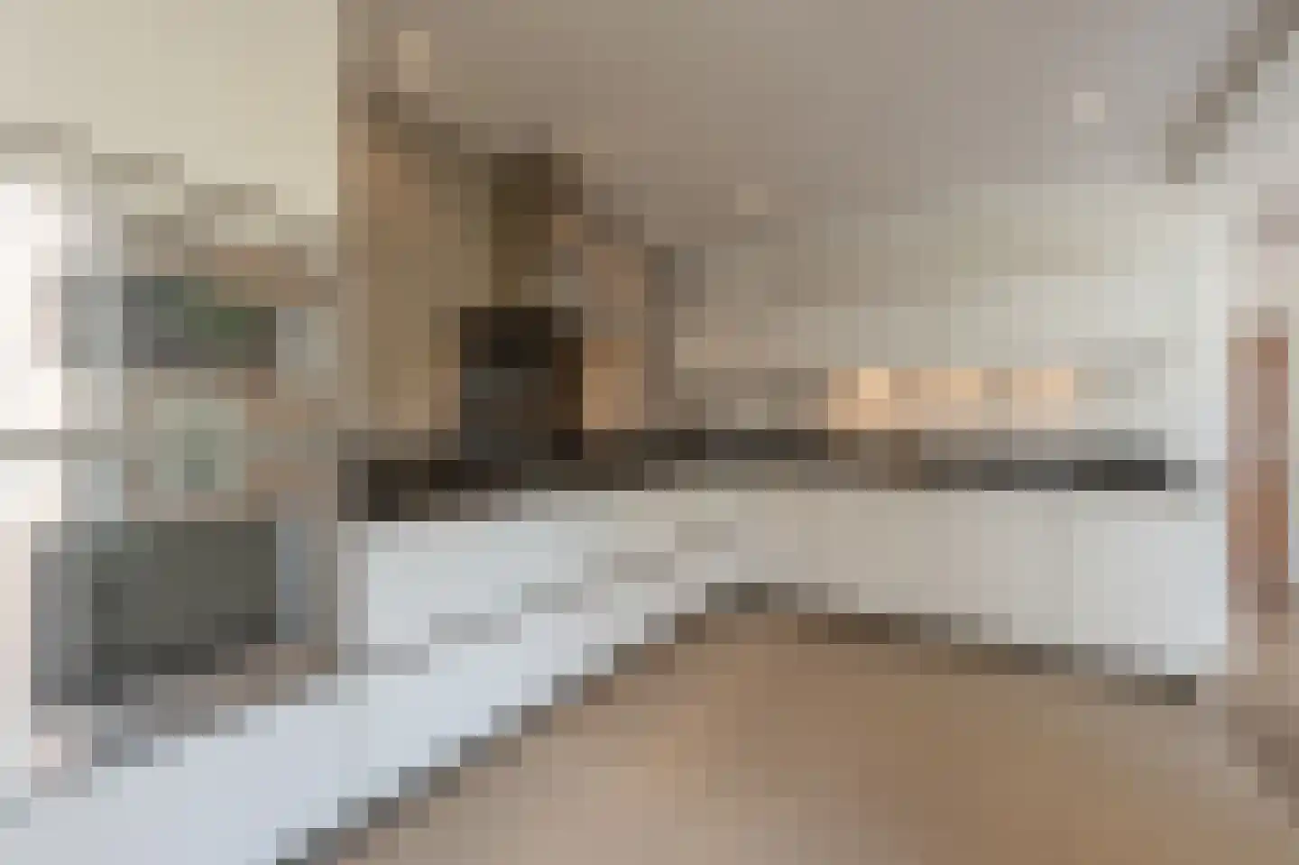 Zeggegors 16 Mijnsheerenland thumbnail 15