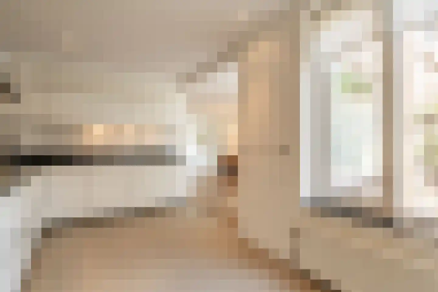 Zeggegors 16 Mijnsheerenland thumbnail 16