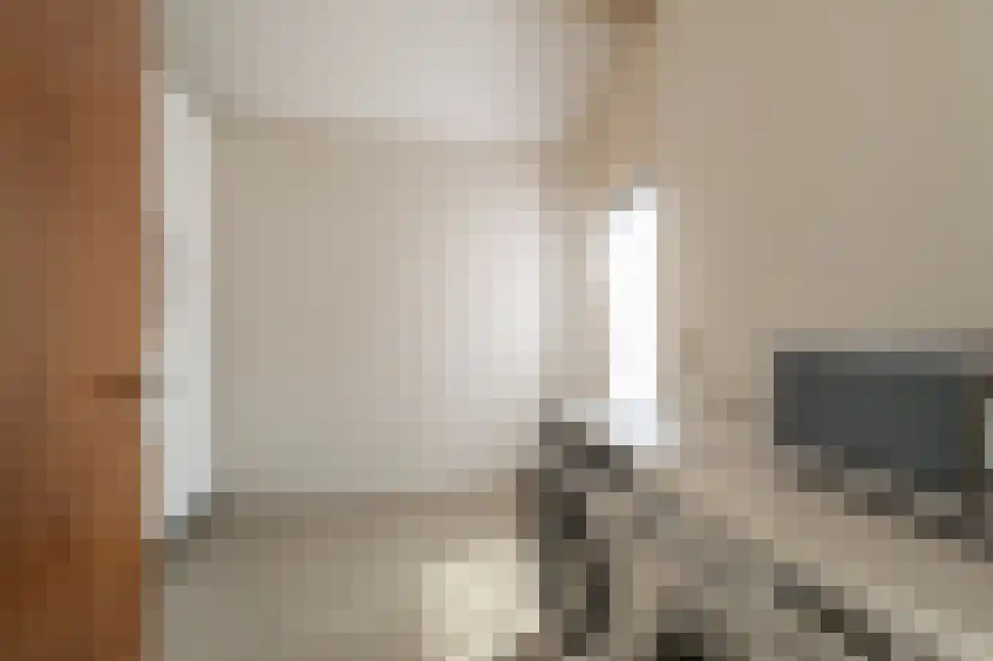Zeggegors 16 Mijnsheerenland thumbnail 17
