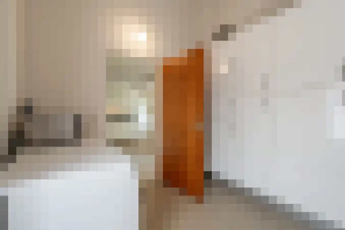 Zeggegors 16 Mijnsheerenland thumbnail 18