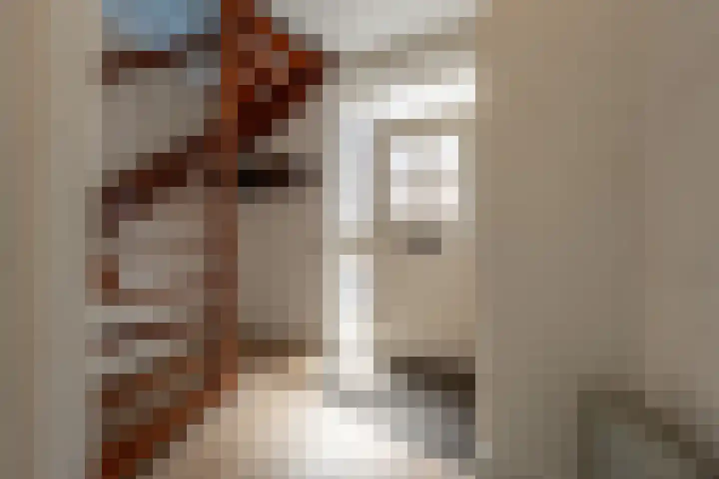 Zeggegors 16 Mijnsheerenland thumbnail 19