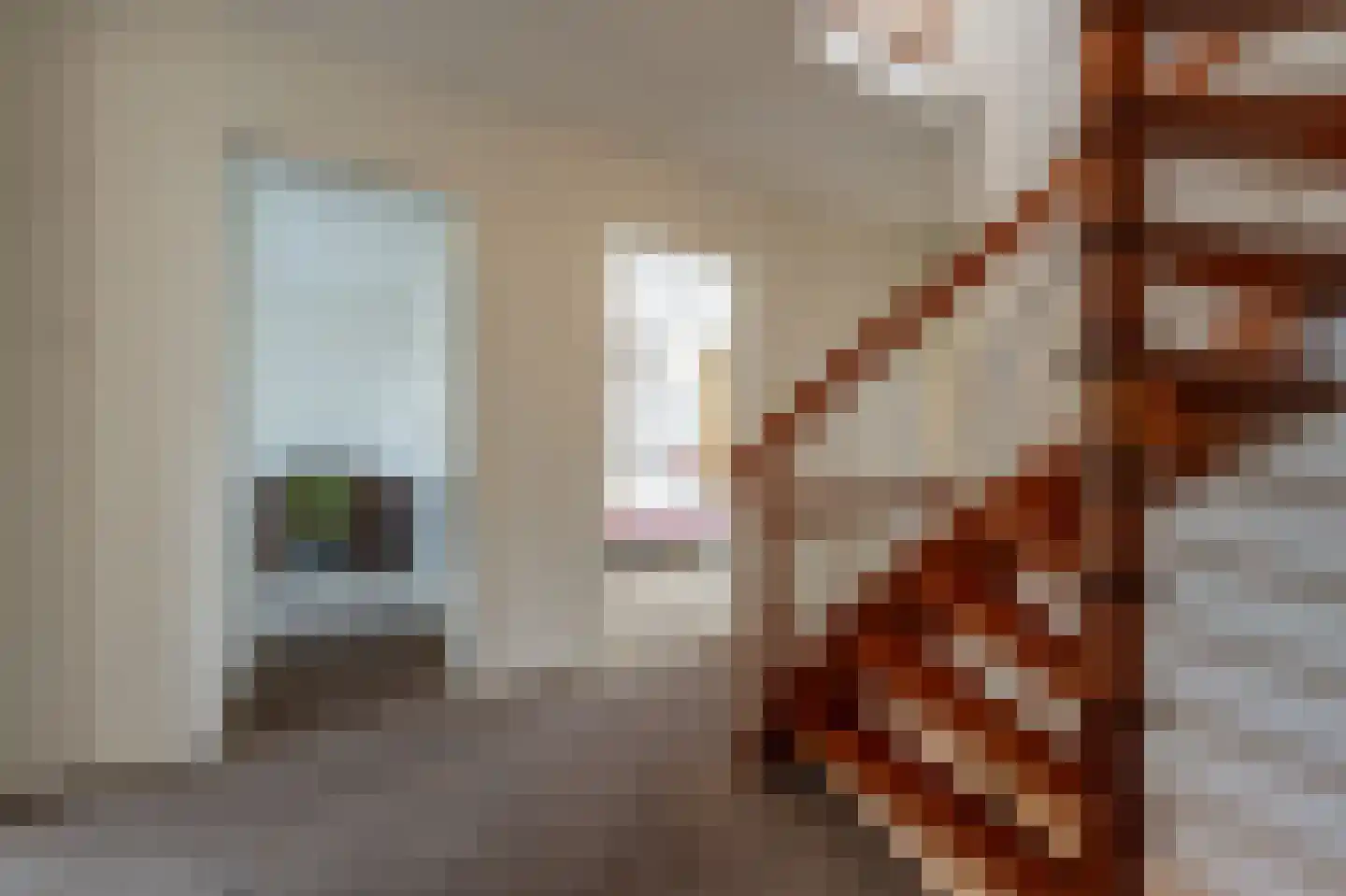 Zeggegors 16 Mijnsheerenland thumbnail 20