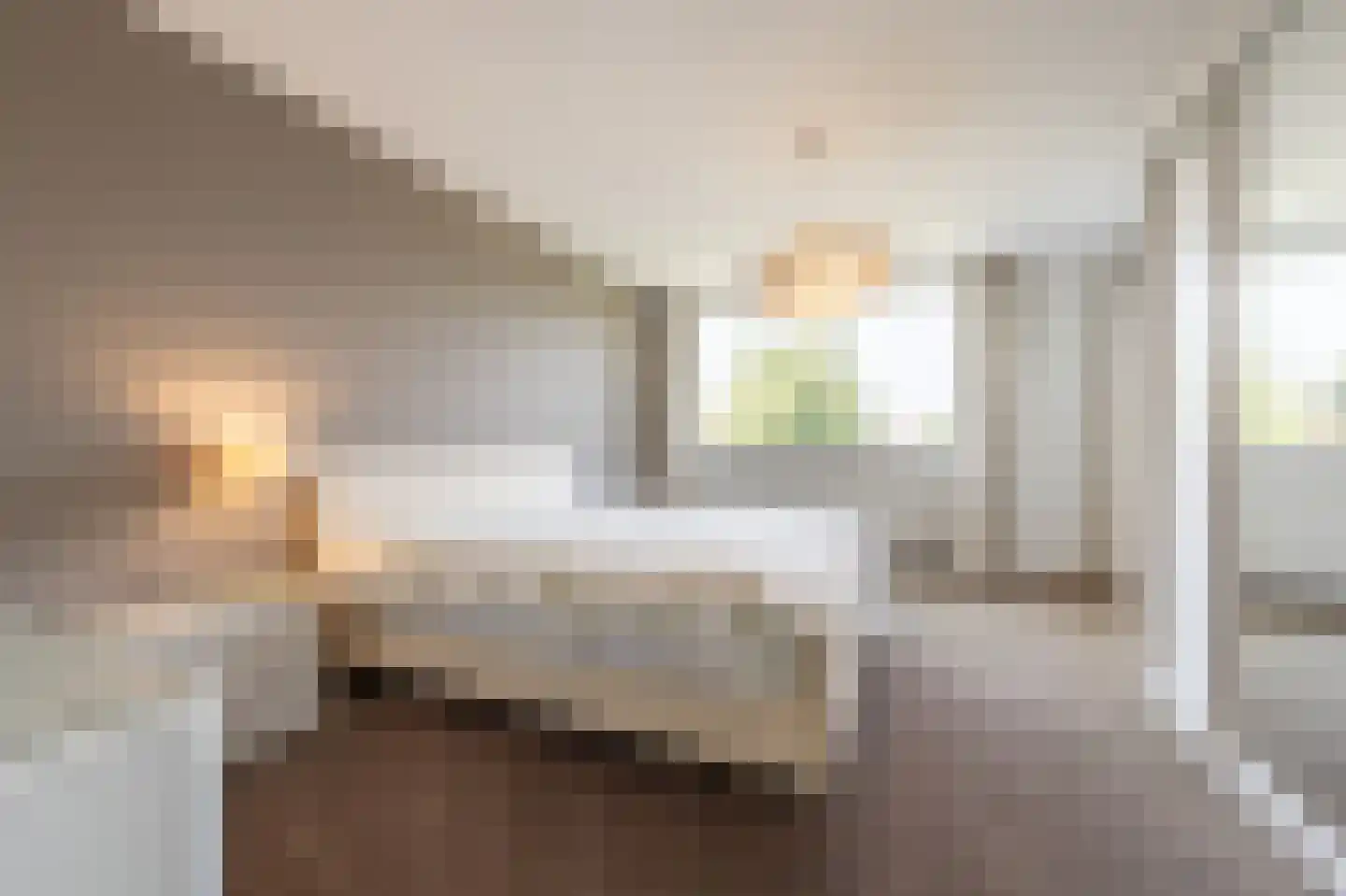 Zeggegors 16 Mijnsheerenland thumbnail 21