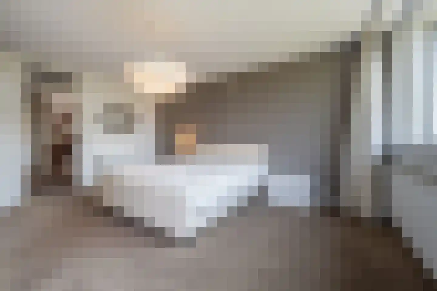 Zeggegors 16 Mijnsheerenland thumbnail 22