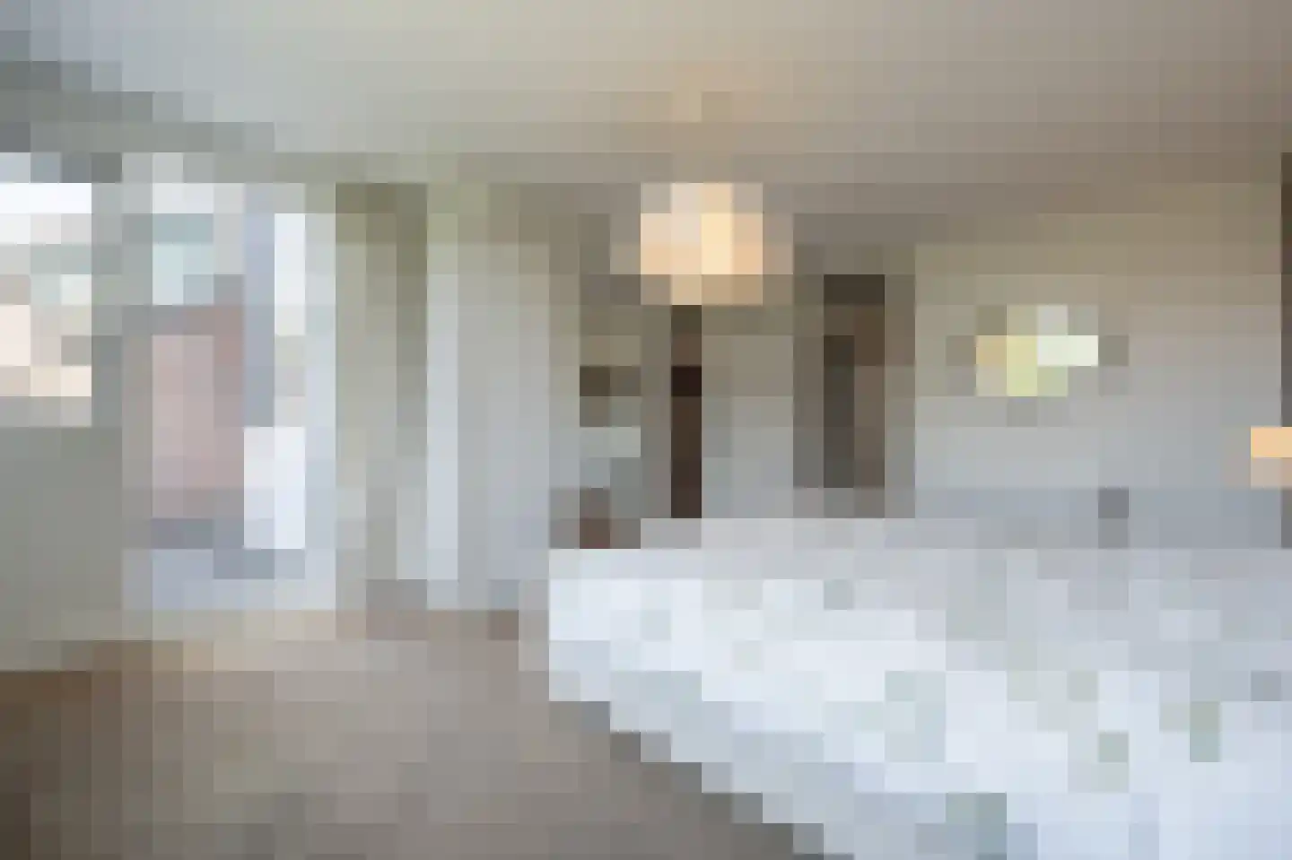 Zeggegors 16 Mijnsheerenland thumbnail 23