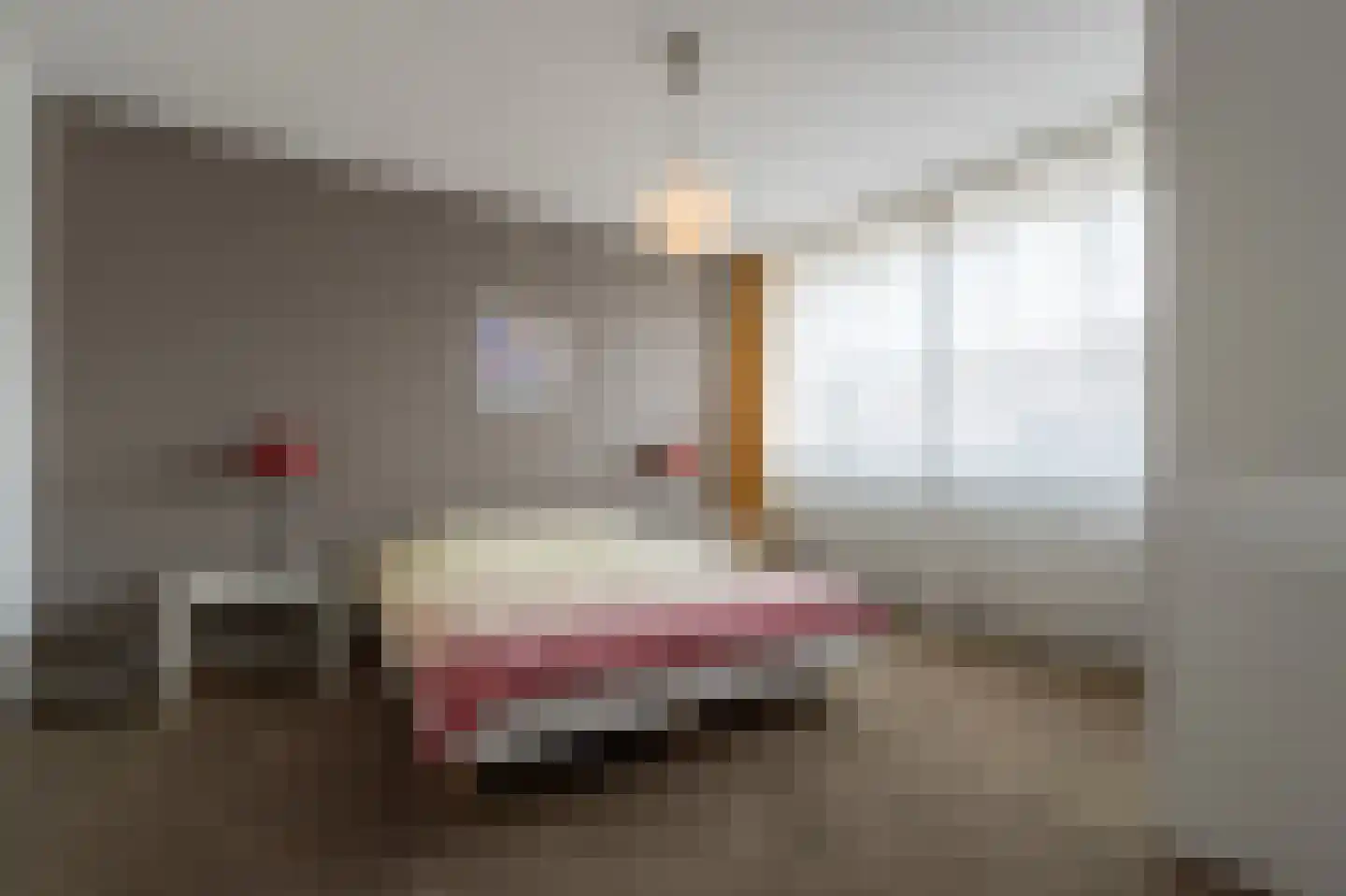 Zeggegors 16 Mijnsheerenland thumbnail 25