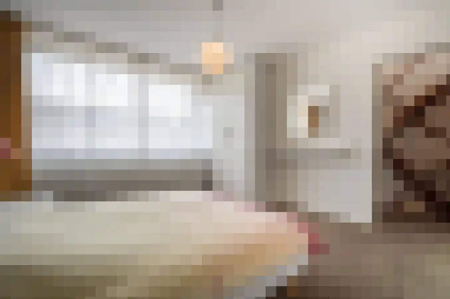 Zeggegors 16 Mijnsheerenland thumbnail 26