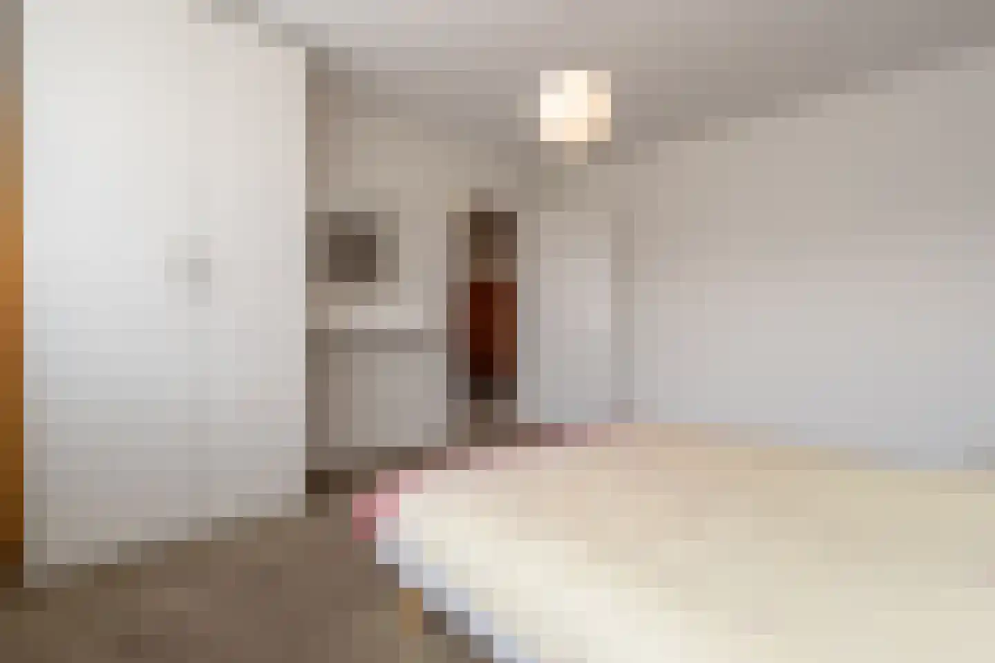 Zeggegors 16 Mijnsheerenland thumbnail 27