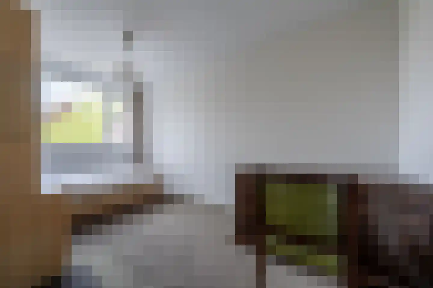 Zeggegors 16 Mijnsheerenland thumbnail 28