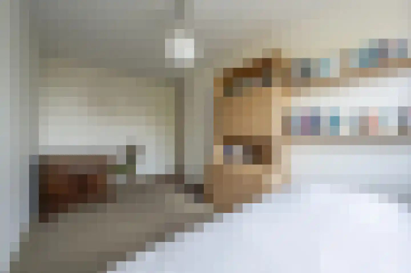 Zeggegors 16 Mijnsheerenland thumbnail 29