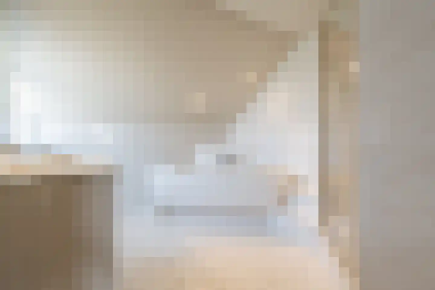 Zeggegors 16 Mijnsheerenland thumbnail 30