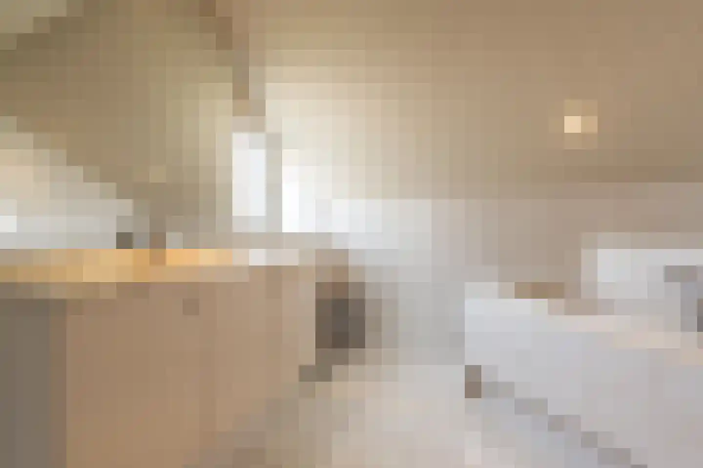 Zeggegors 16 Mijnsheerenland thumbnail 31