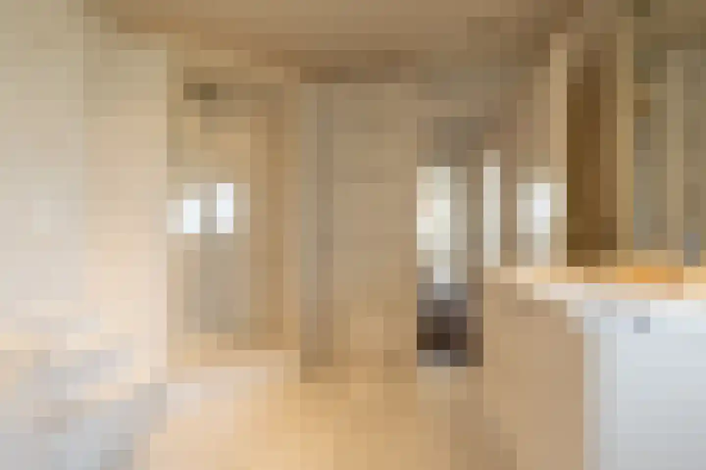 Zeggegors 16 Mijnsheerenland thumbnail 32