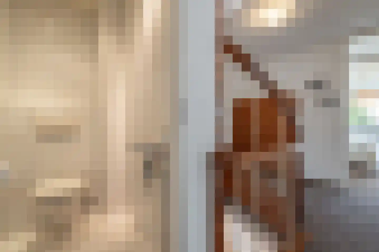 Zeggegors 16 Mijnsheerenland thumbnail 33