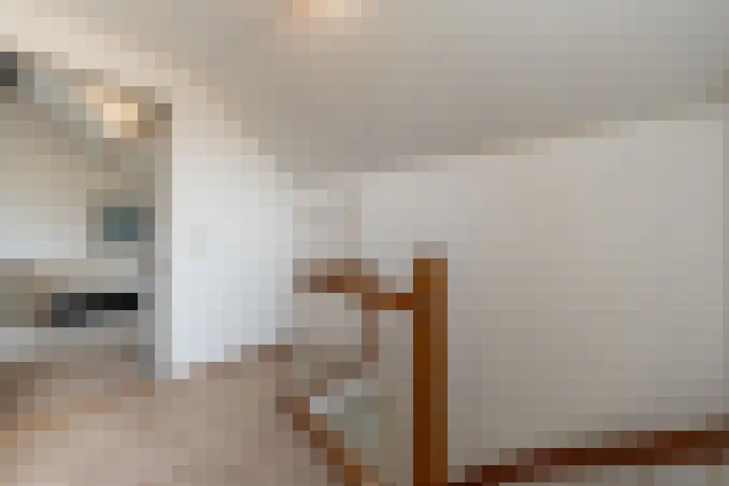 Zeggegors 16 Mijnsheerenland thumbnail 35