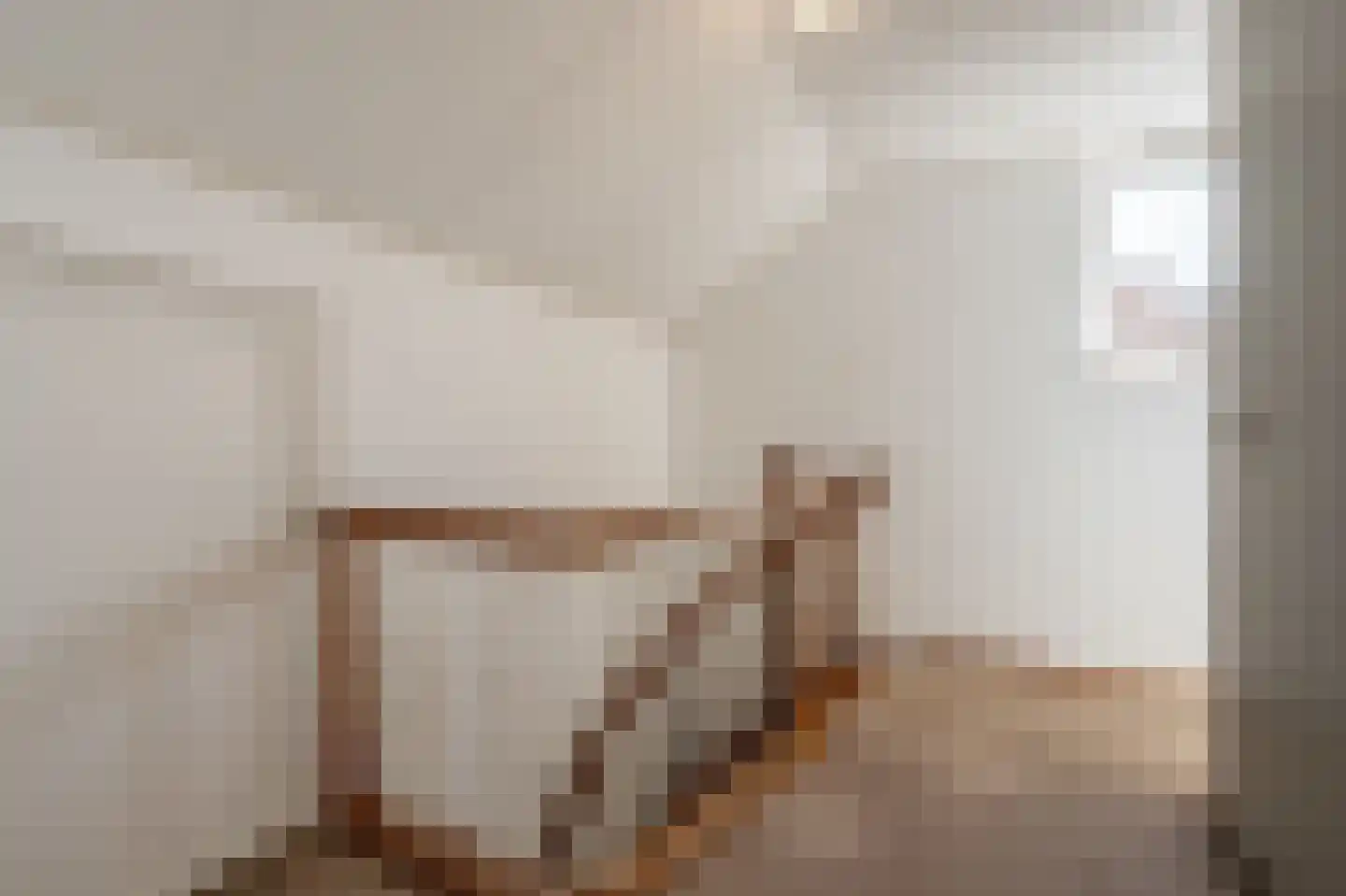 Zeggegors 16 Mijnsheerenland thumbnail 36