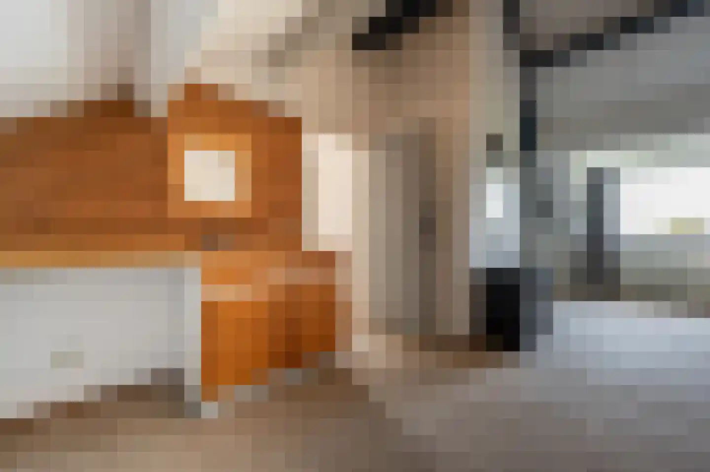 Zeggegors 16 Mijnsheerenland thumbnail 38