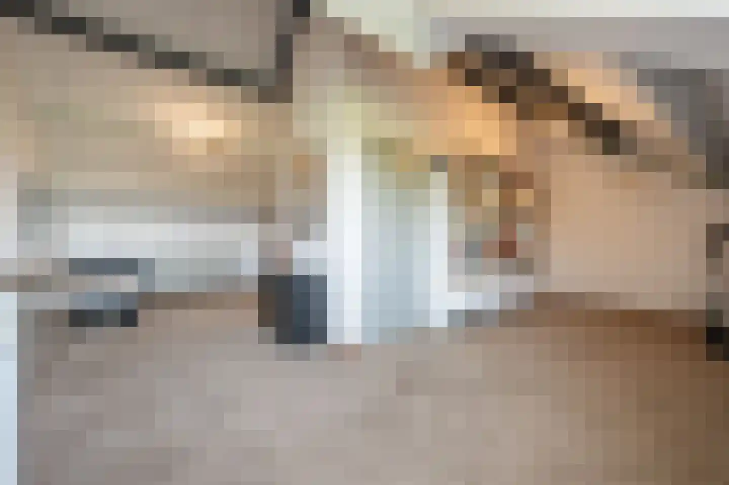 Zeggegors 16 Mijnsheerenland thumbnail 39