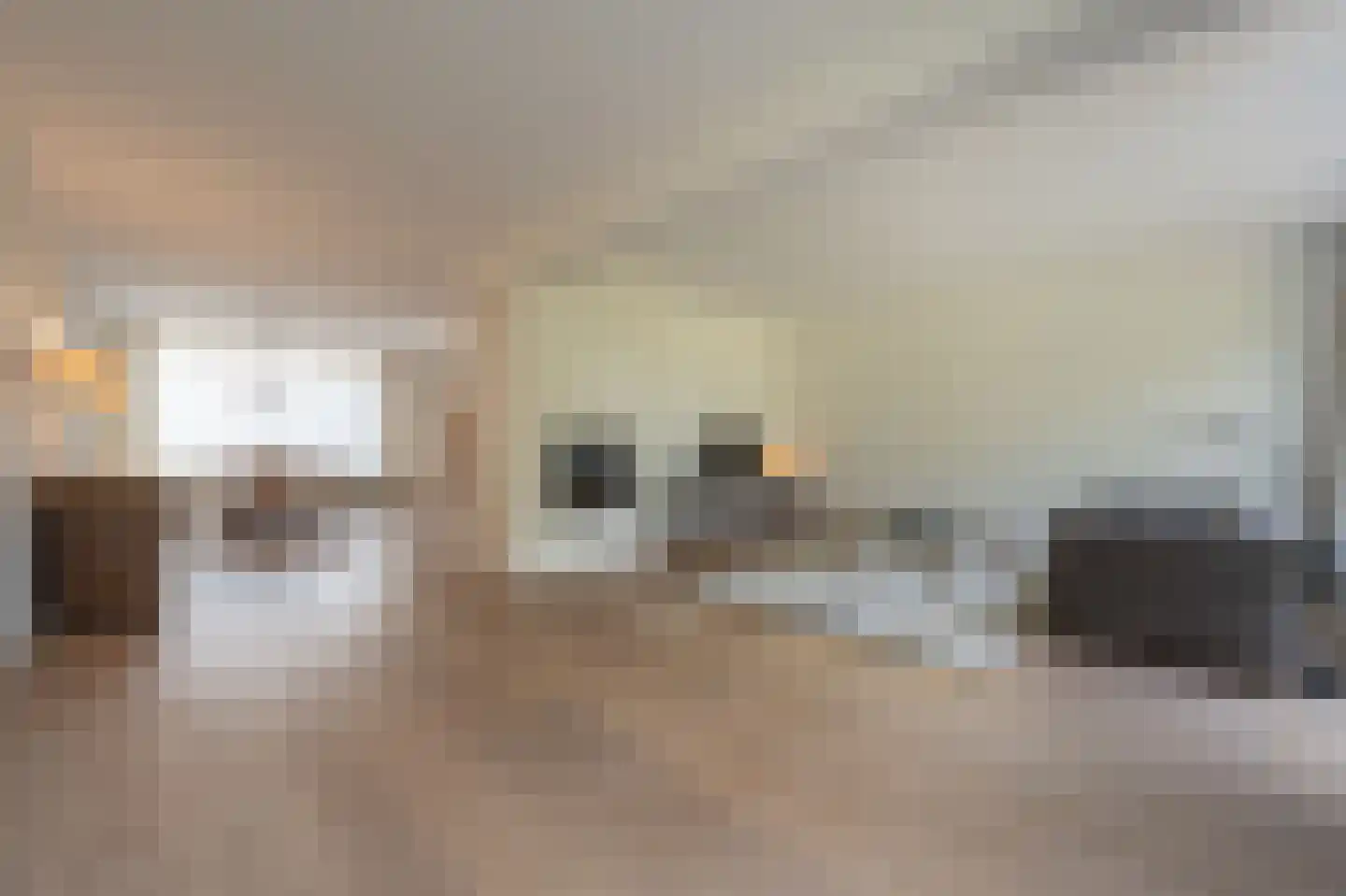 Zeggegors 16 Mijnsheerenland thumbnail 4