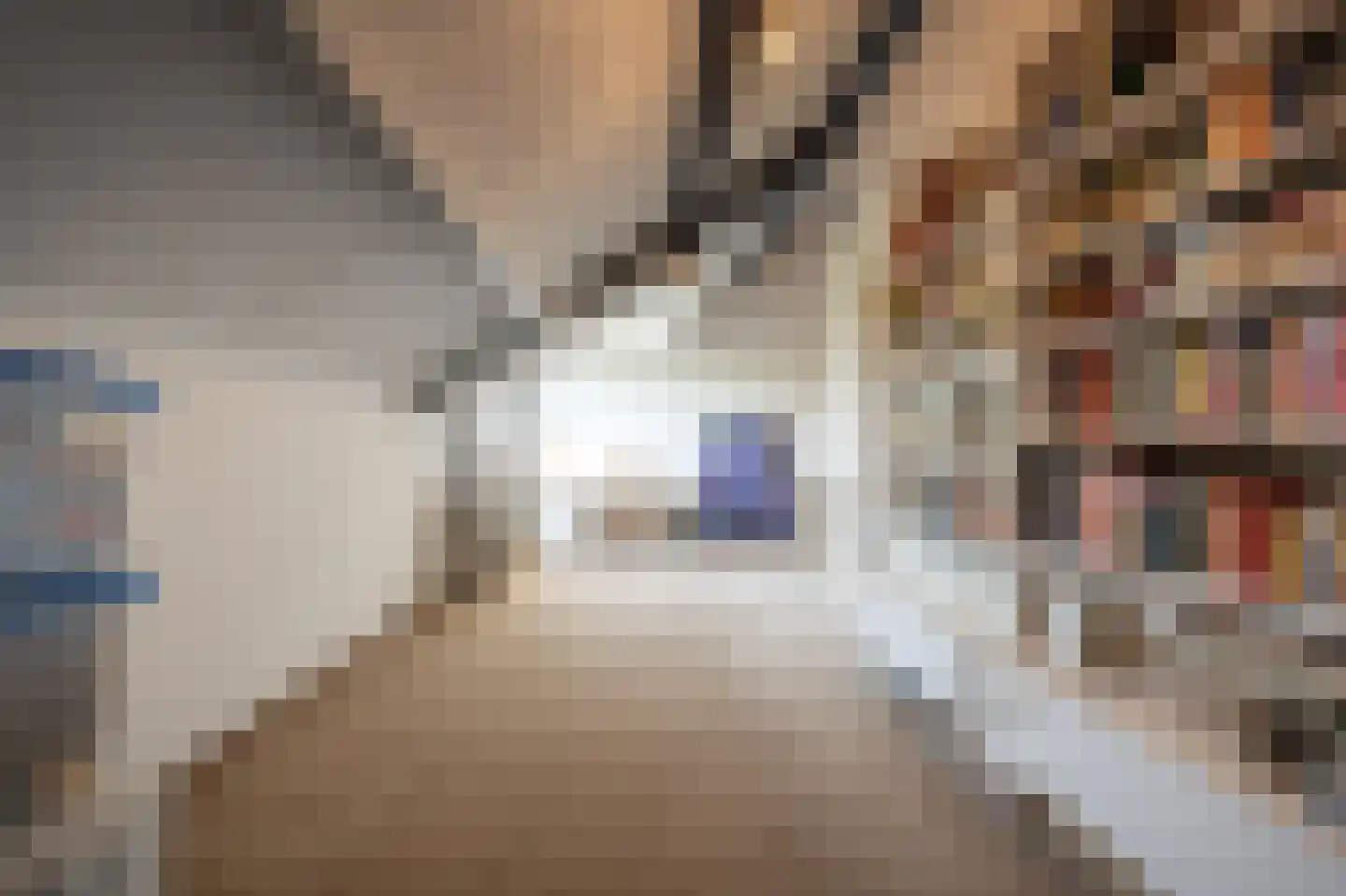 Zeggegors 16 Mijnsheerenland thumbnail 40