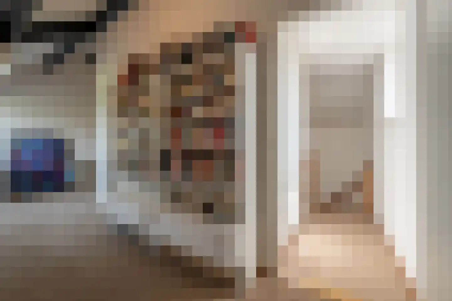 Zeggegors 16 Mijnsheerenland thumbnail 41