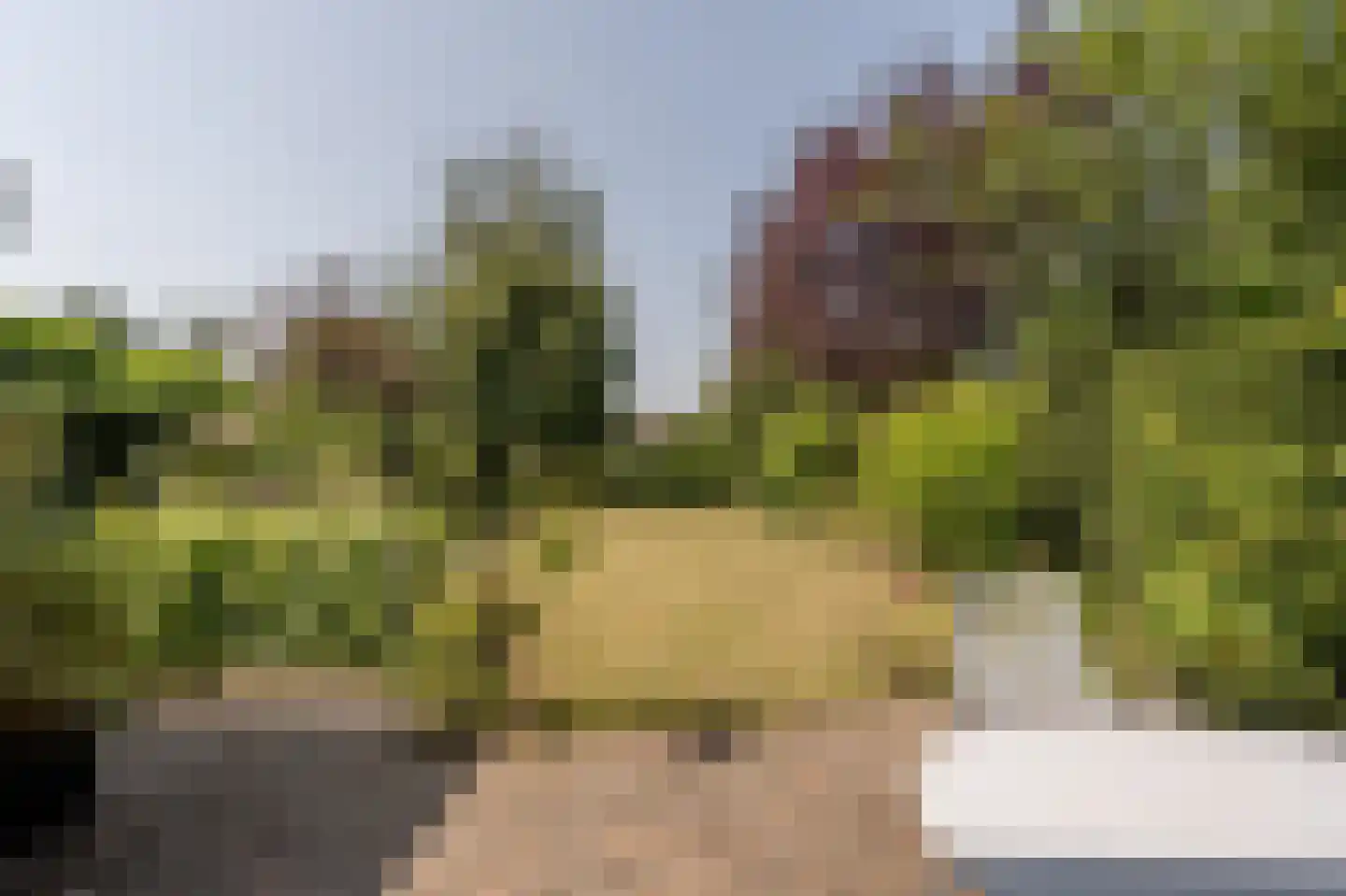 Zeggegors 16 Mijnsheerenland thumbnail 42