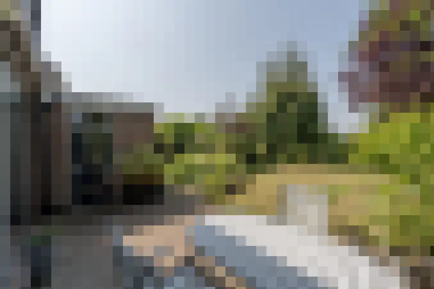 Zeggegors 16 Mijnsheerenland thumbnail 44