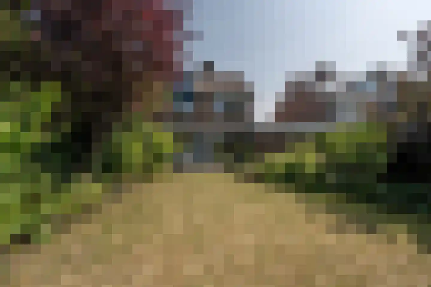 Zeggegors 16 Mijnsheerenland thumbnail 45
