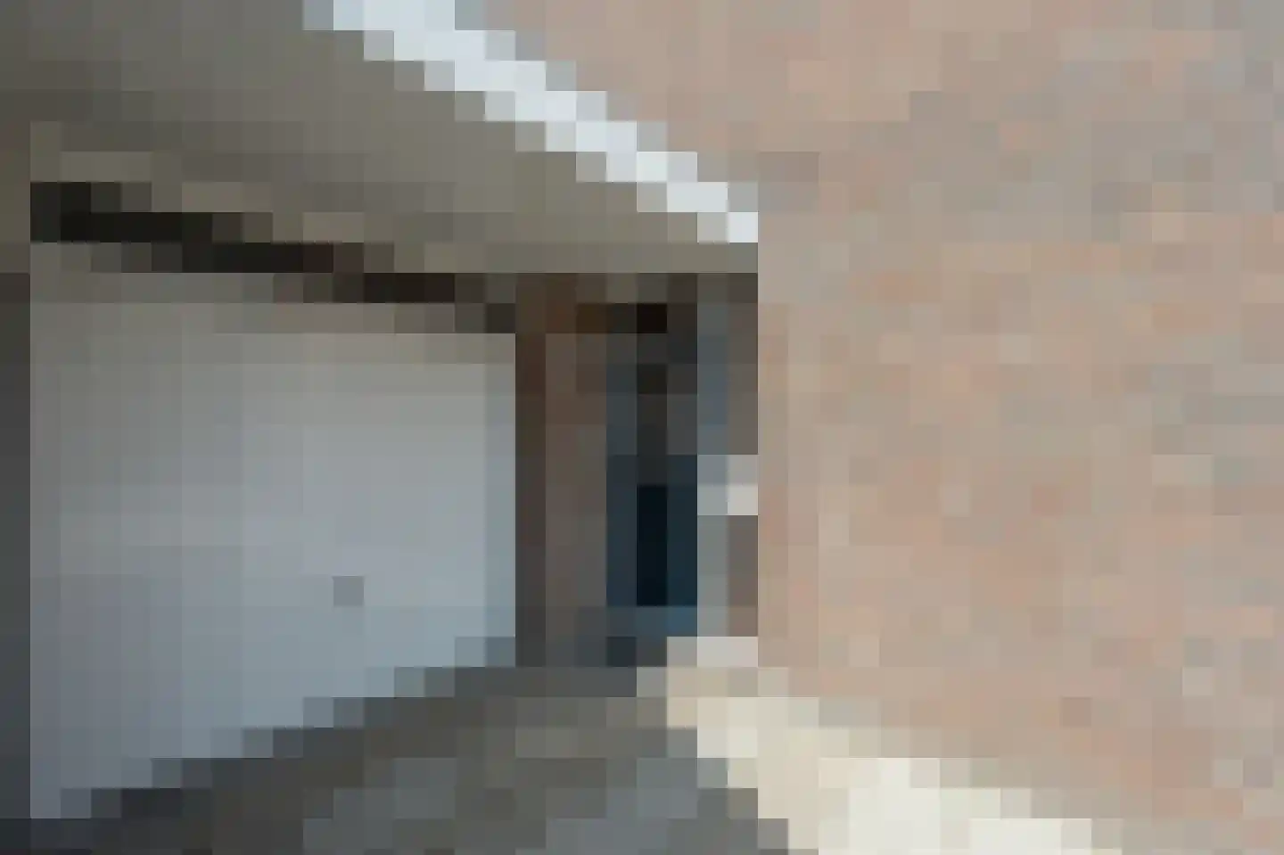 Zeggegors 16 Mijnsheerenland thumbnail 46