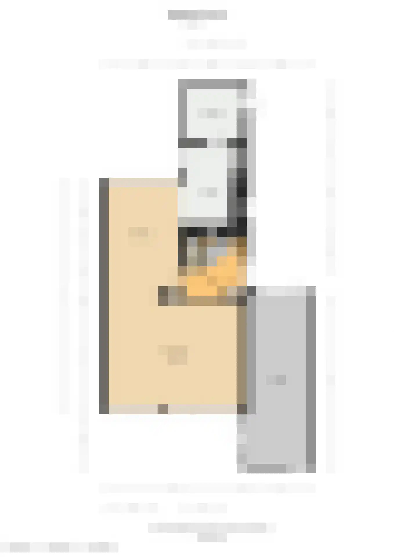 Zeggegors 16 Mijnsheerenland thumbnail 49