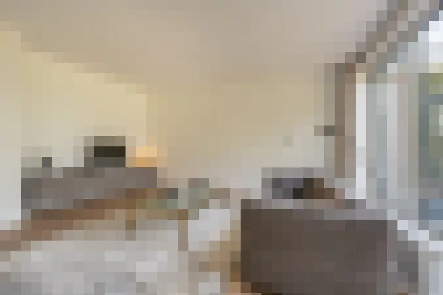 Zeggegors 16 Mijnsheerenland thumbnail 5