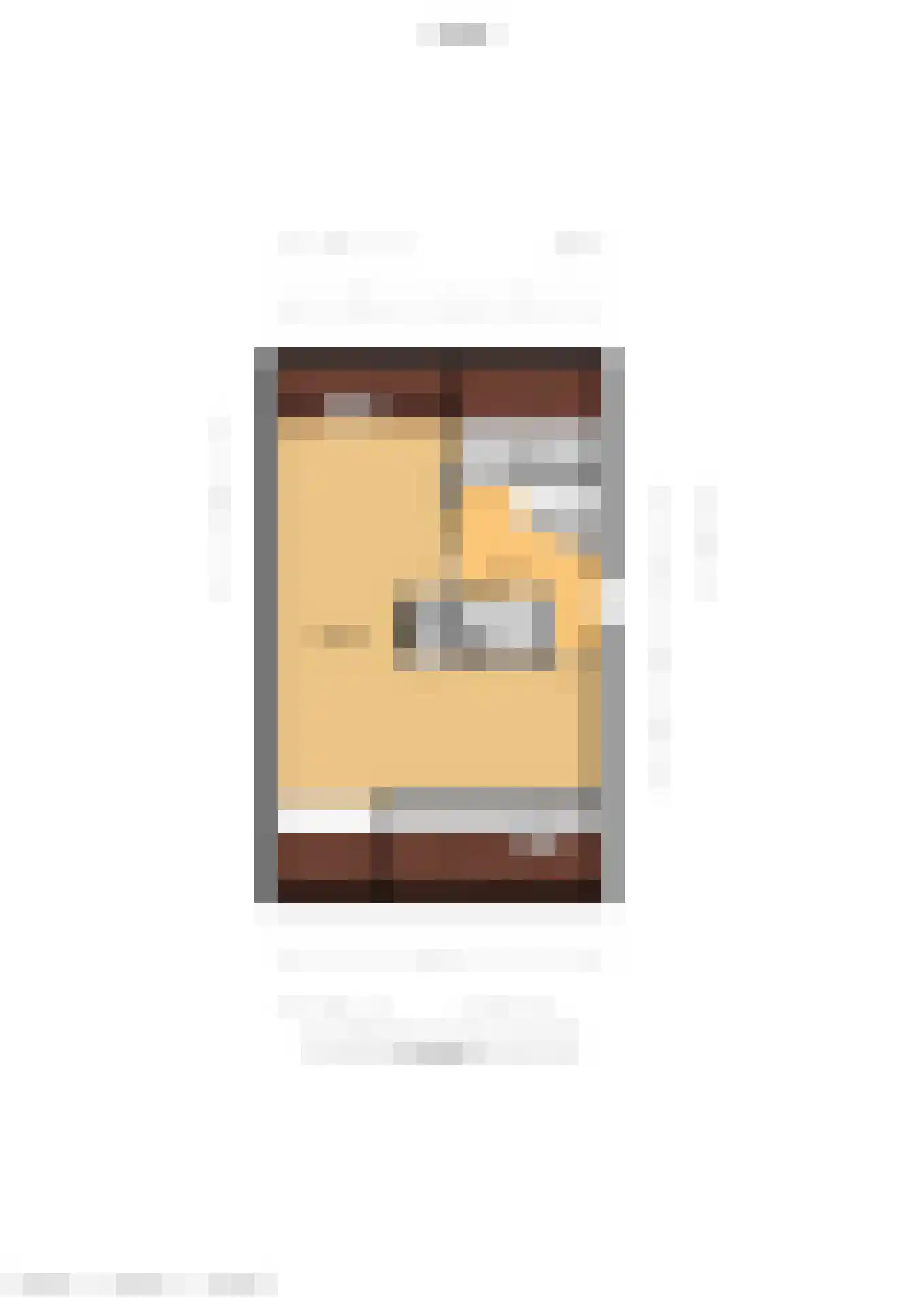 Zeggegors 16 Mijnsheerenland thumbnail 51