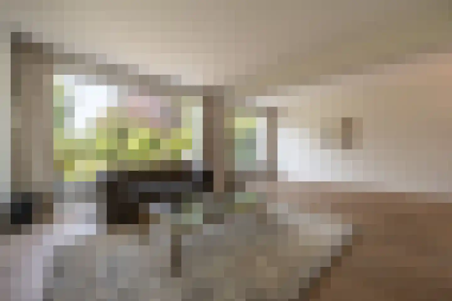 Zeggegors 16 Mijnsheerenland thumbnail 6