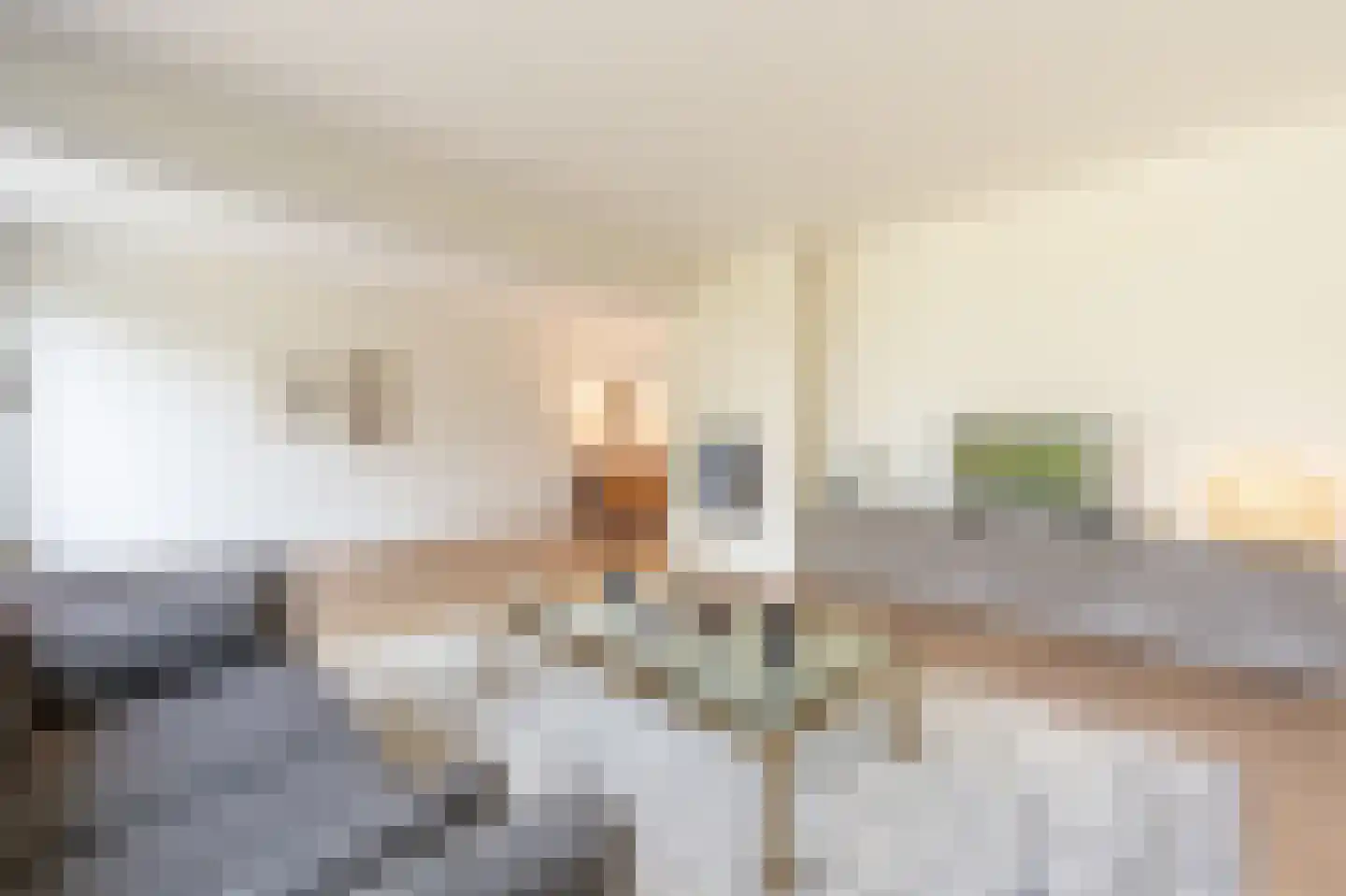 Zeggegors 16 Mijnsheerenland thumbnail 7