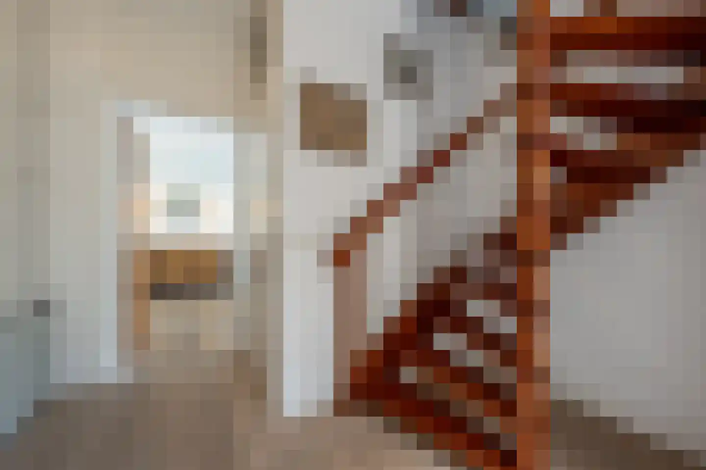 Zeggegors 16 Mijnsheerenland thumbnail 9