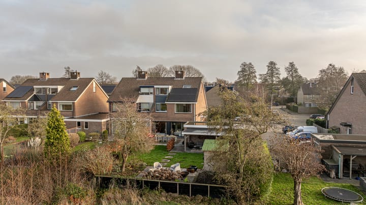 Zeggegors 24 in Mijnsheerenland Foto