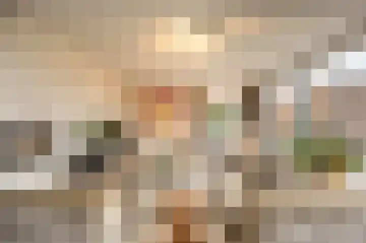 Zeggegors 24 Mijnsheerenland thumbnail 10