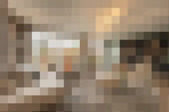 Zeggegors 24 Mijnsheerenland thumbnail 11