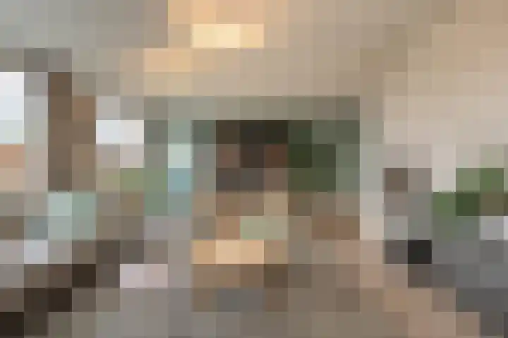 Zeggegors 24 Mijnsheerenland thumbnail 13