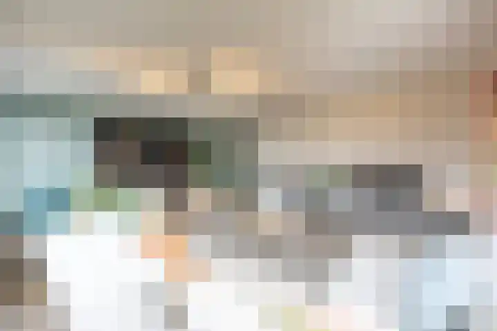 Zeggegors 24 Mijnsheerenland thumbnail 14