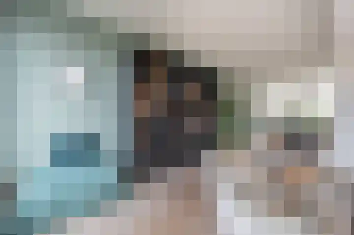 Zeggegors 24 Mijnsheerenland thumbnail 16