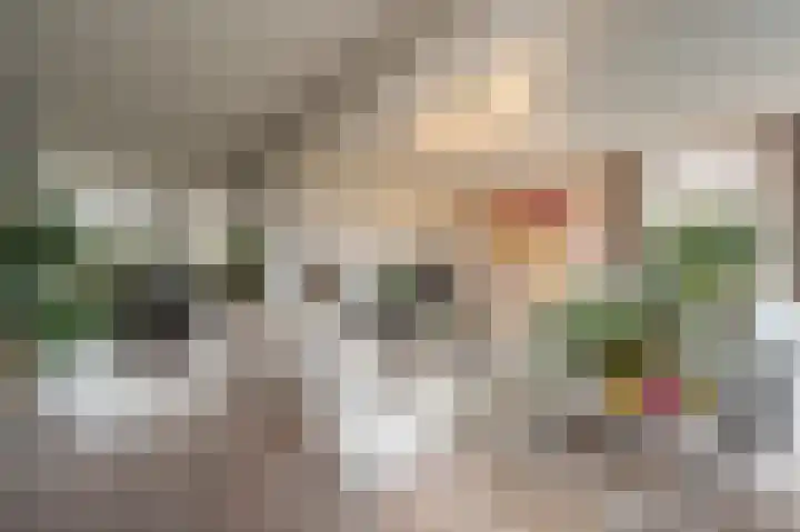Zeggegors 24 Mijnsheerenland thumbnail 17