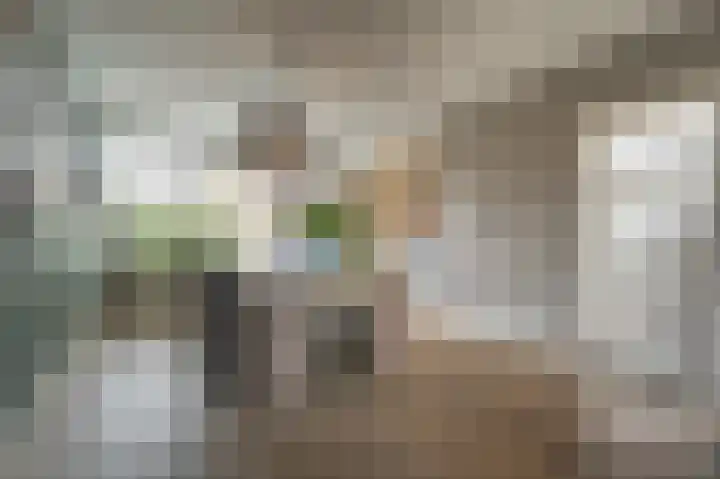 Zeggegors 24 Mijnsheerenland thumbnail 19