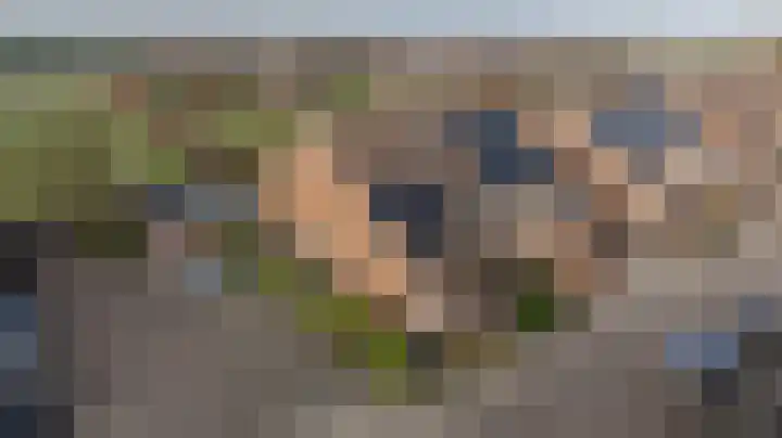Zeggegors 24 Mijnsheerenland foto 2