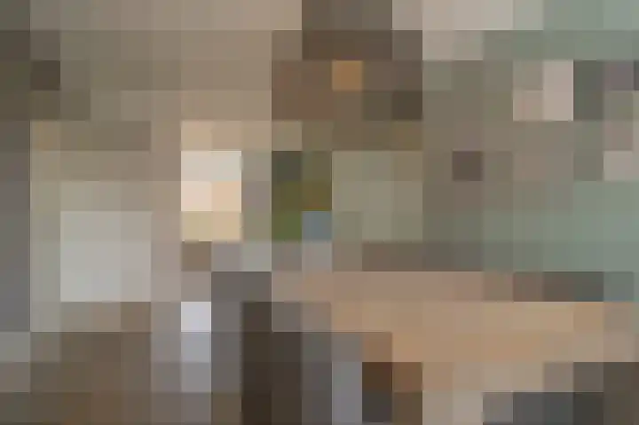 Zeggegors 24 Mijnsheerenland thumbnail 20