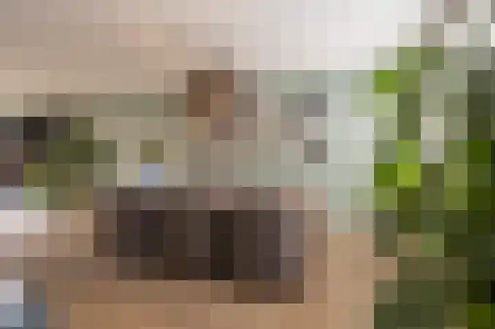 Zeggegors 24 Mijnsheerenland thumbnail 21