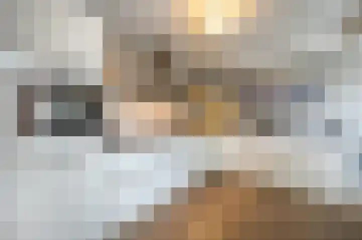 Zeggegors 24 Mijnsheerenland thumbnail 22